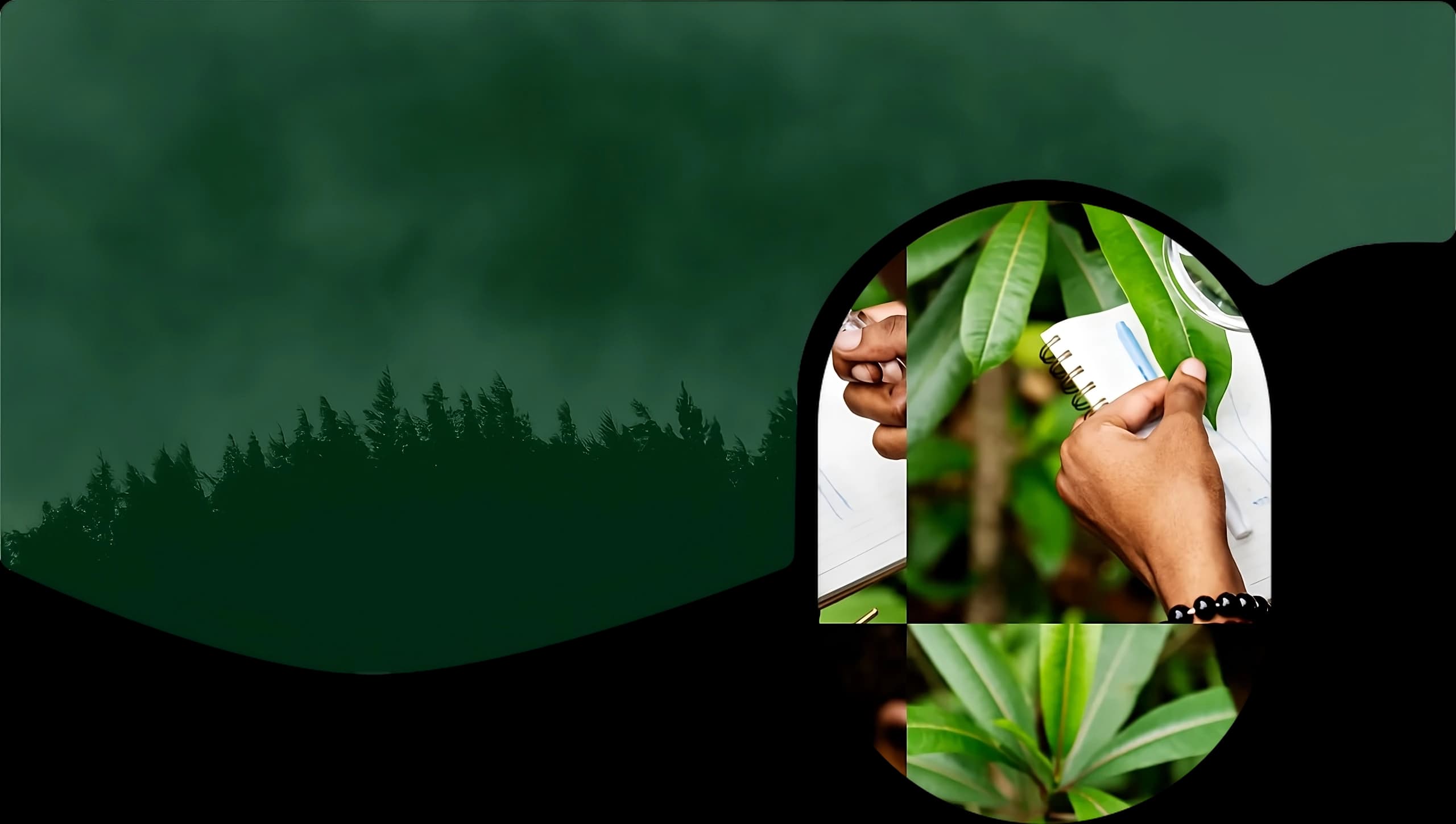 eco-quest