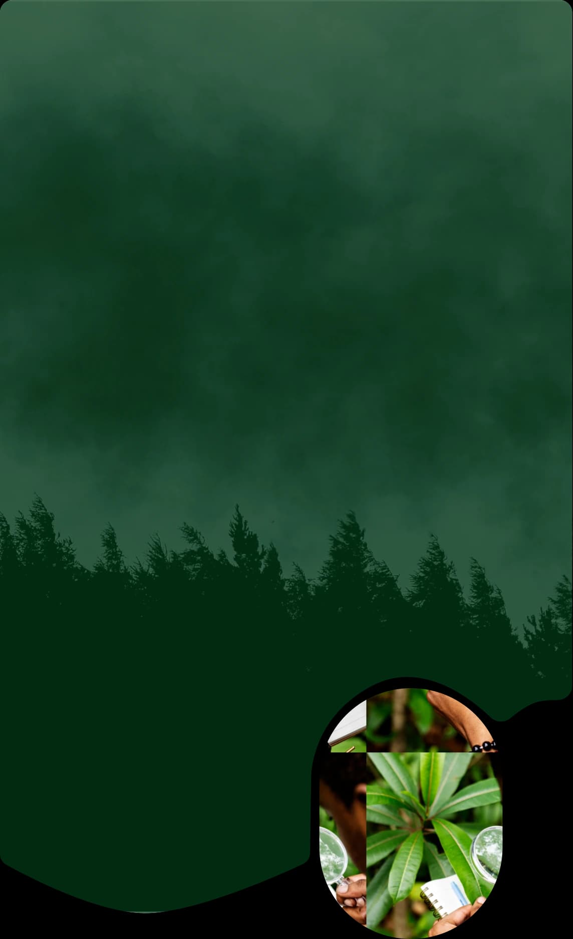 eco-quest