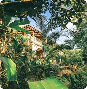 Sustainable Living Guides