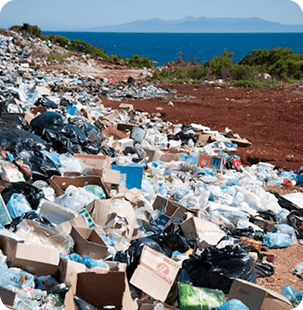 Environmental Sanitation Guide